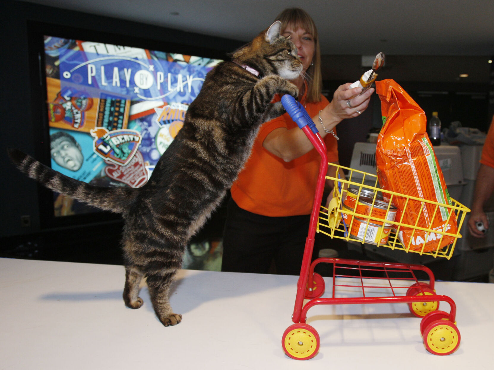 Cat Show